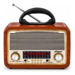 RADIO XTRAD XDG-3010 - Imagem 2